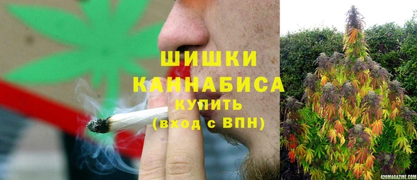 шишки Армянск