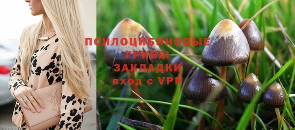 дживик Арсеньев