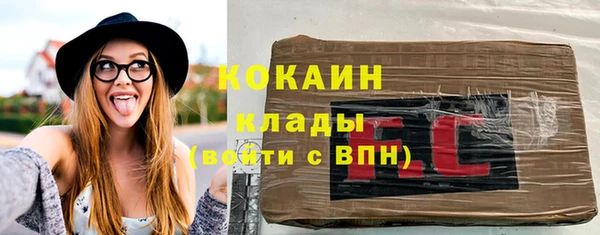 шишки Армянск