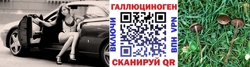 Галлюциногенные грибы MAGIC MUSHROOMS  купить наркотик  Малоархангельск 